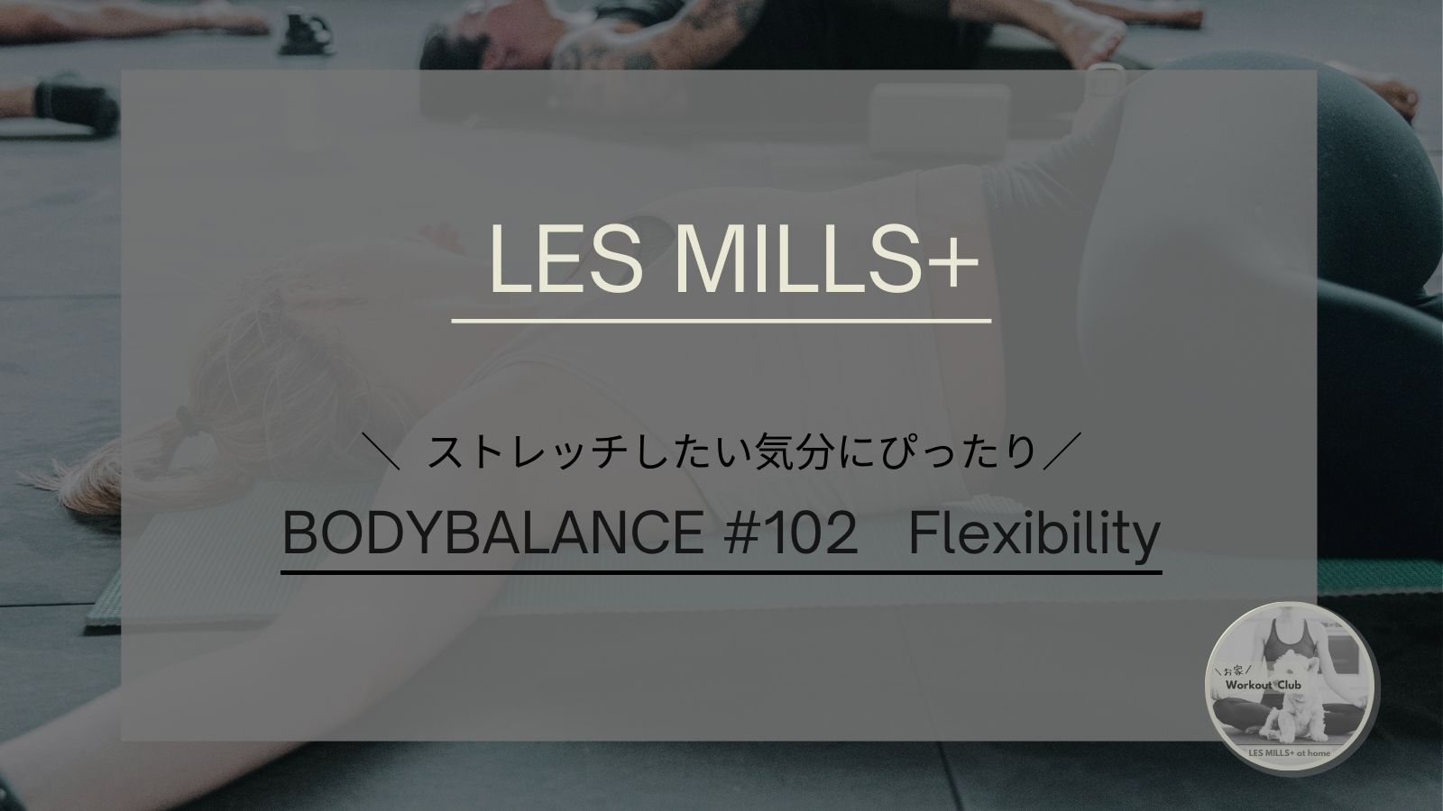 BODYBALANCE #102 Flexibility